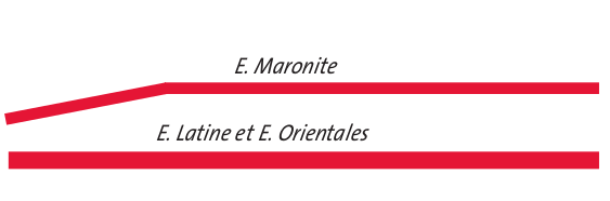 Arbre É. maronite